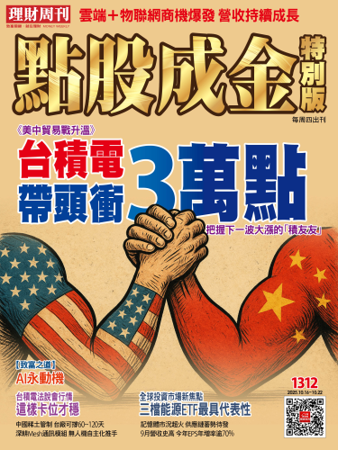 第1312期 點股成金